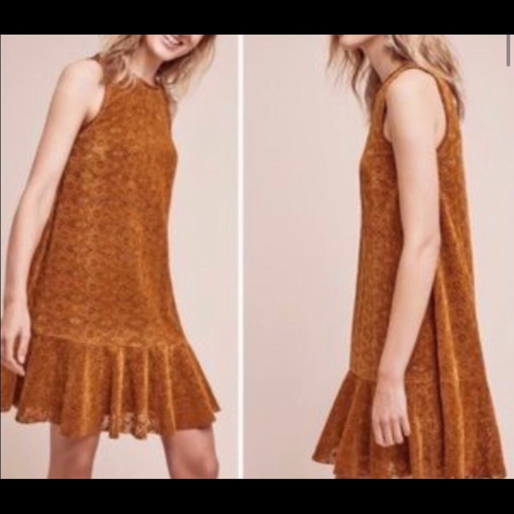 NWT Maeve velvet lace dress